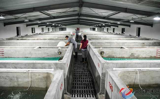 fβNrƯ  ĳɿhOIN緱ӭһס